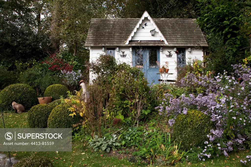 garden shed and flowerbeds in a garden in autumn