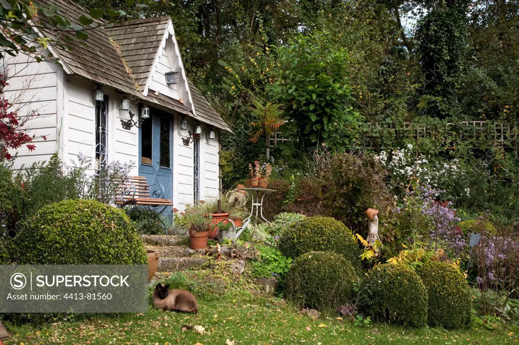 garden shed and flowerbeds in a garden in autumn