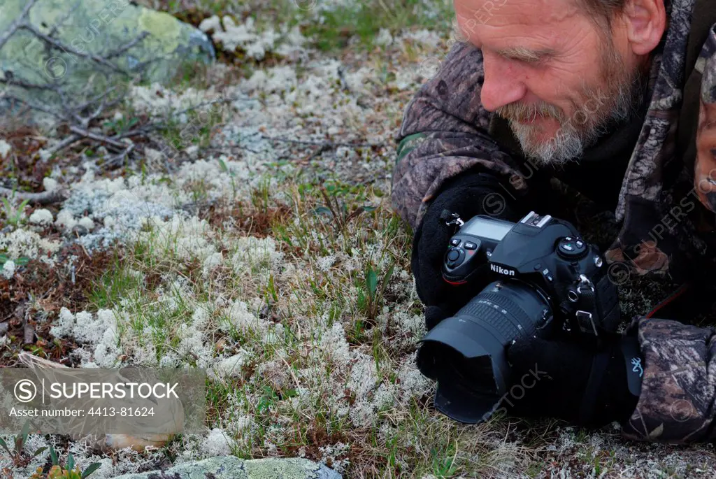 Photographer near an Eurasian dotterel