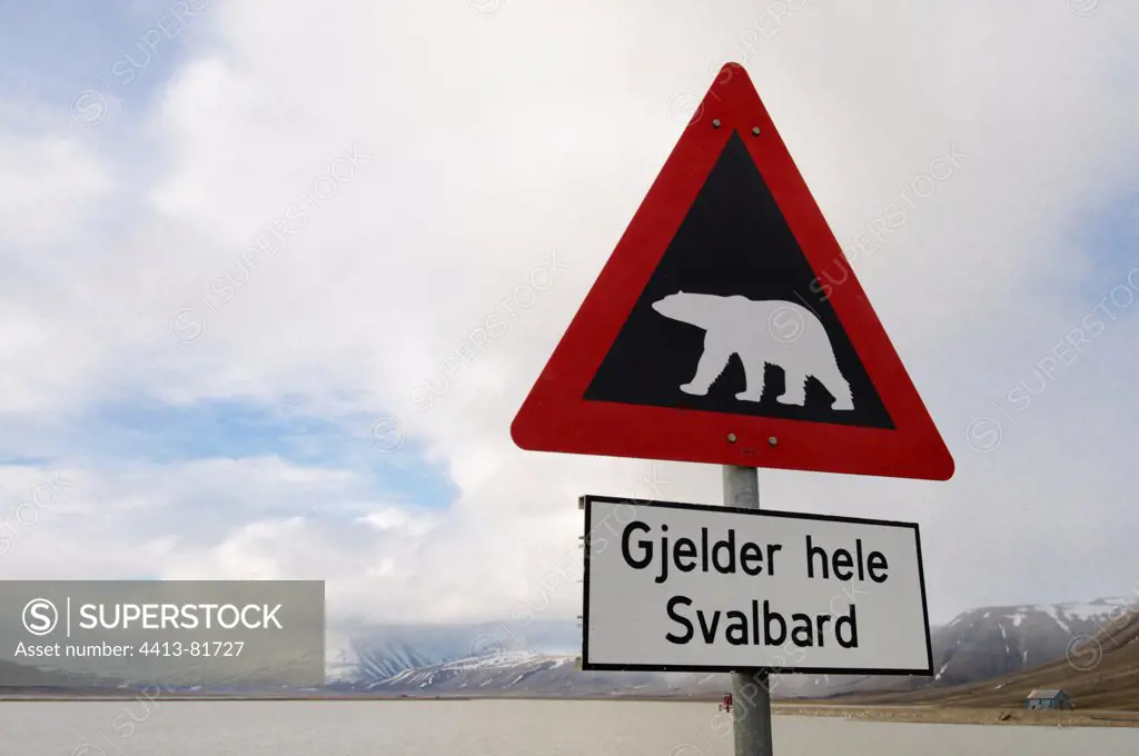 Road danger sign warning about polar bear attacks