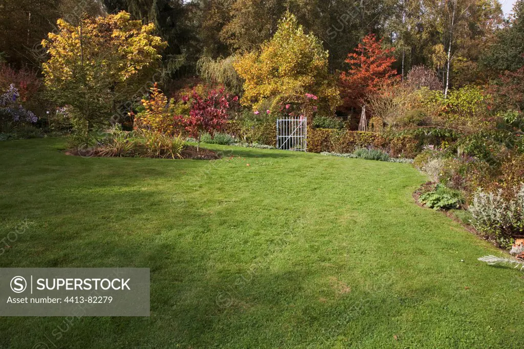 Lawn and shrubs in a garden in autumn