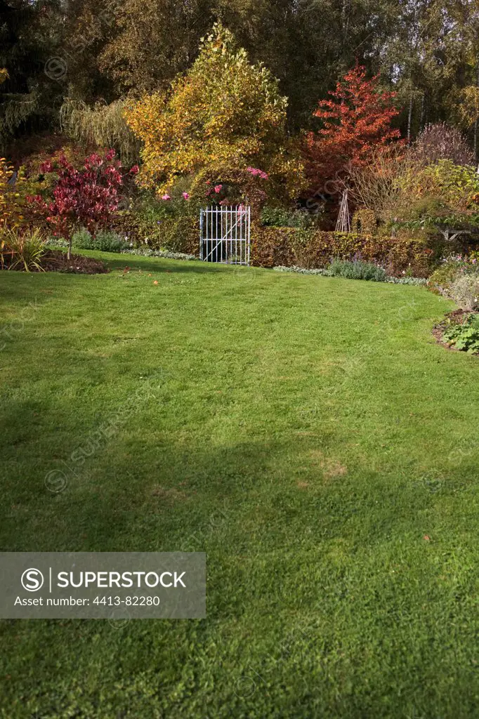 Lawn and shrubs in a garden in autumn