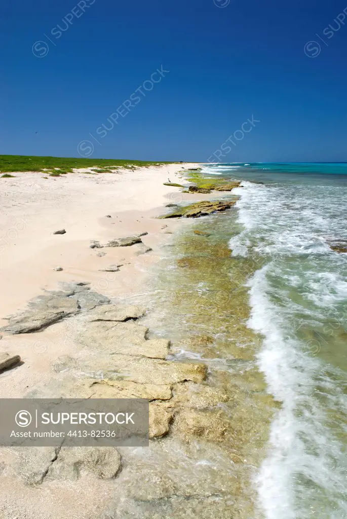 Beach and beach-rock on the island New Caledonia Huon
