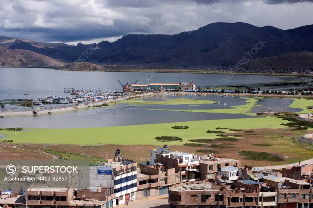 Green Algae blooms on Lake Titicaca Puno Peru