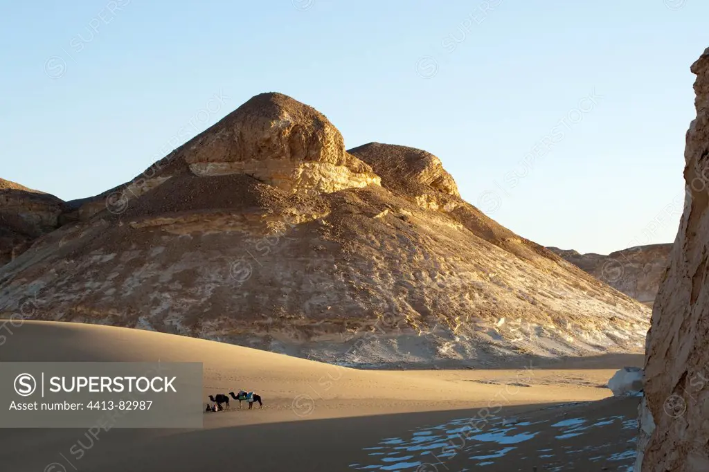 Limestone formations White Desert Eastern Sahara Egypt