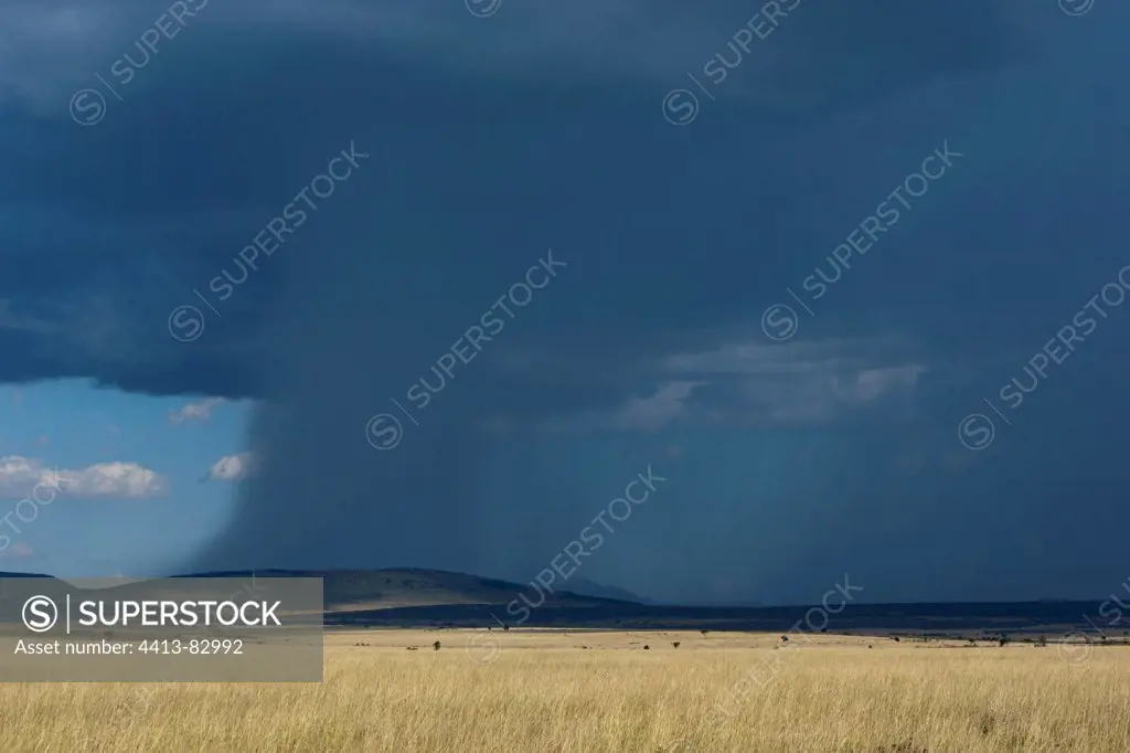 Storm on the Savannah Masai Mara Reserve Kenya