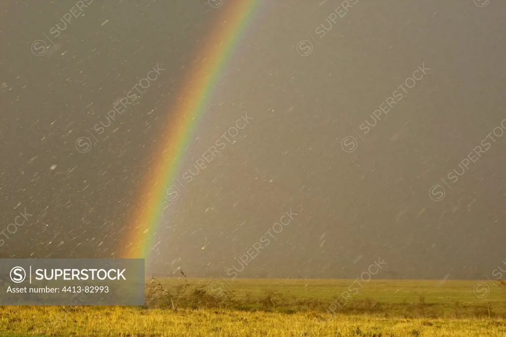 Rainbow on the Savannah Masai Mara Reserve Kenya