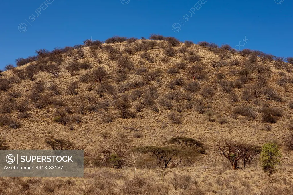 Landscape Shaba national Reserve Kenya