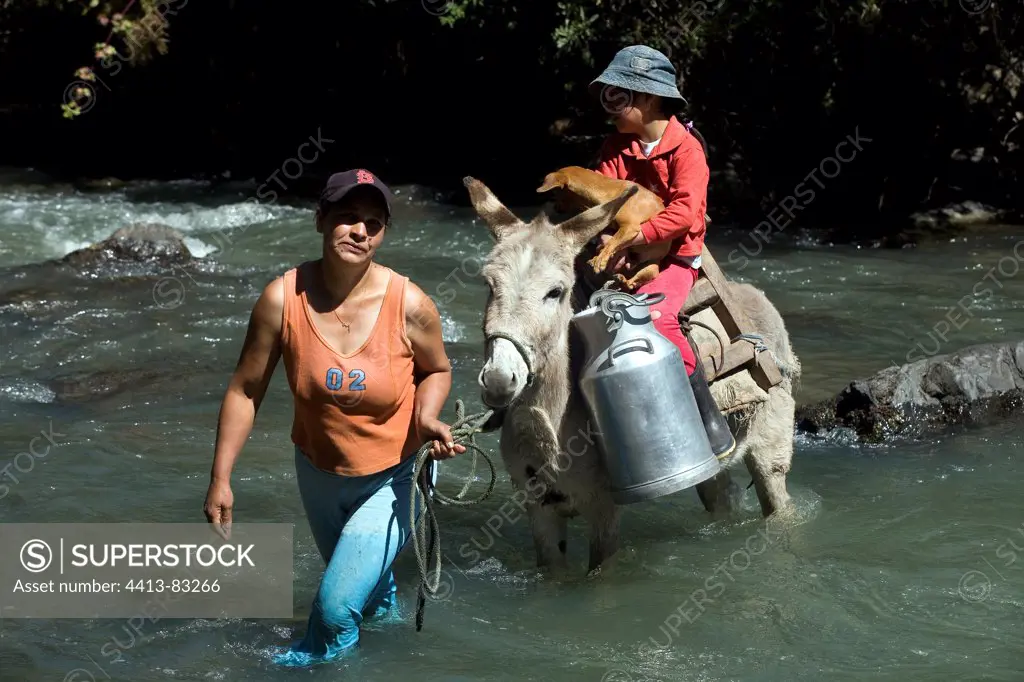 Woman holding an Ass crossing Irubi River Ecuador