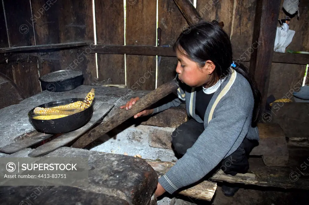 Girl preparing a fire for cooking Corn Ecuador