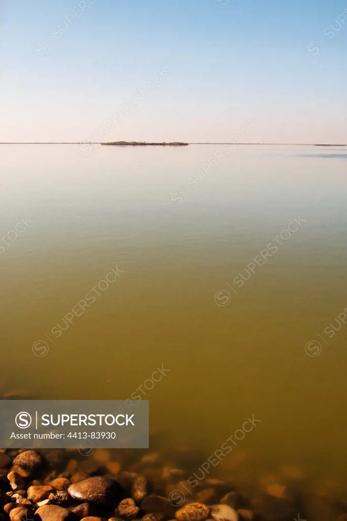 Pond near Salins de Giraud France