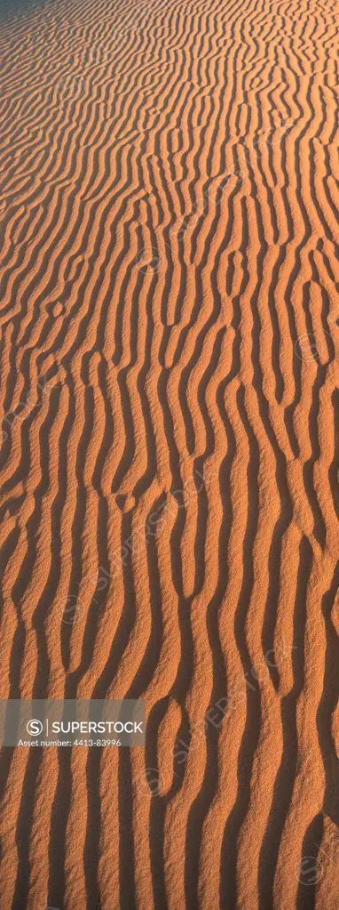 Ripples in the sand of a dune Sahara Morocco