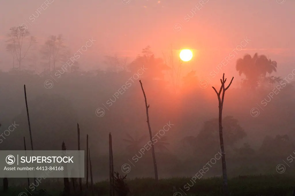 Sunrise on the Amazon Rainforest burned for agriculture