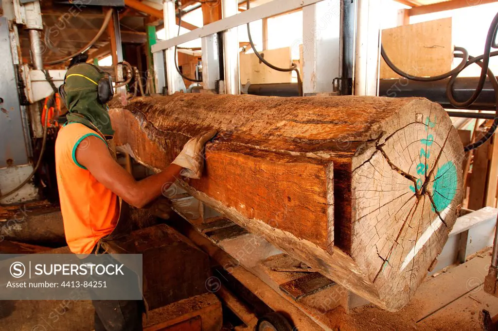 Worker working in a sawmill on Rio Branco Brazil