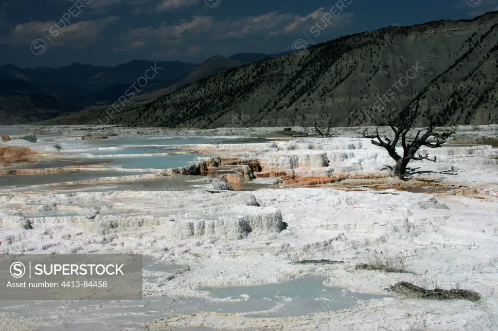Calcareous terraces at Mammoth Hot Springs Yellowstone NP
