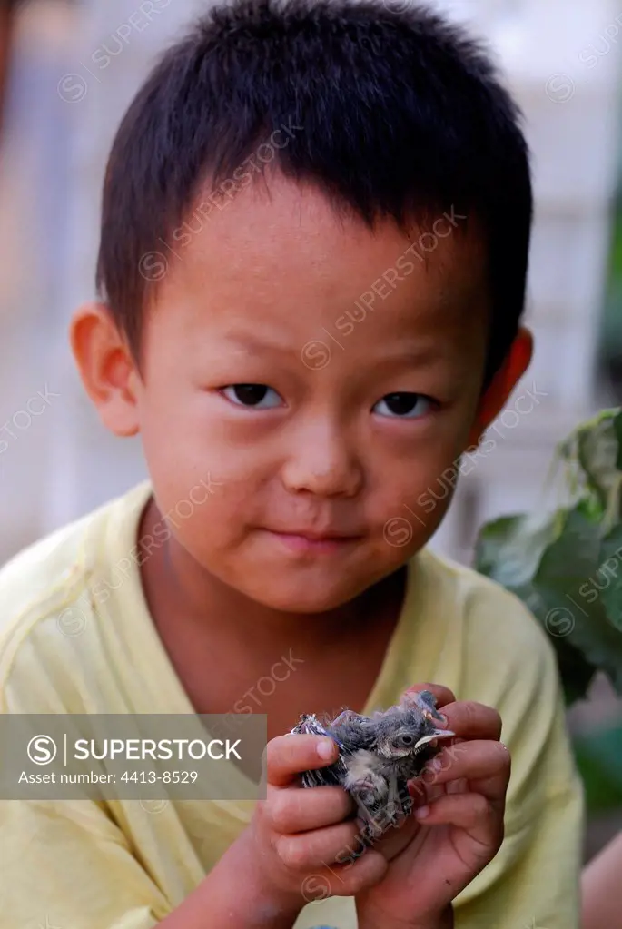 Portrait of a child playing with a fledgling China