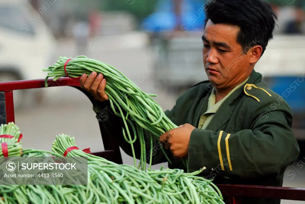 Man observing of the bundles of Beans on a market China