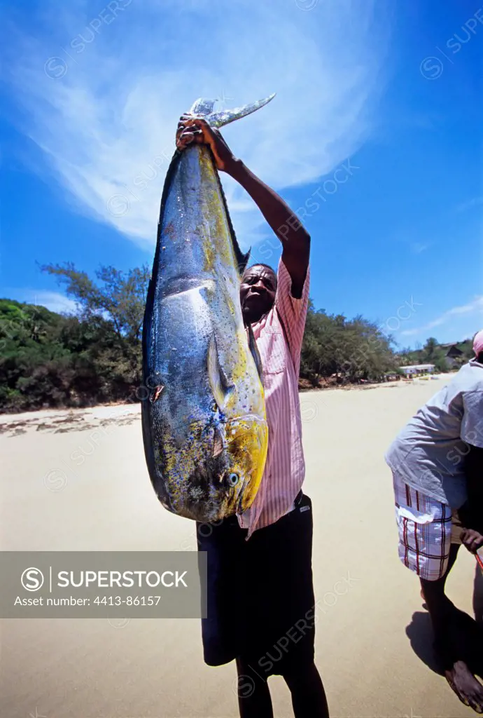 Fisherman holds Dolphin fish caught with rod and reel