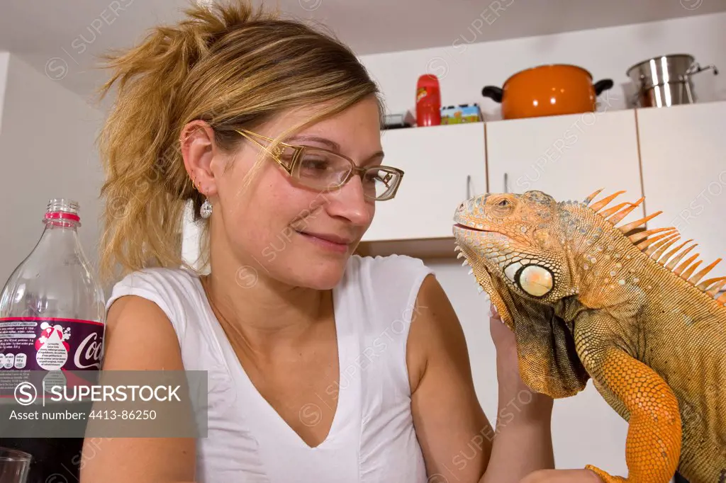 Owner caressing her tamed Red Iguana