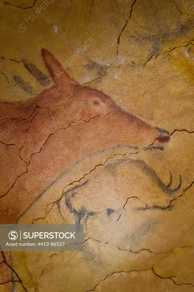 Rock art in the cave of Altamira Santillana del Mar