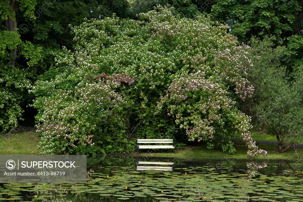 Bench in the gardens of Wilanów palace Warsaw Poland