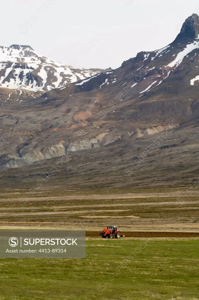 Tractor in a field near Breiddalswik Iceland