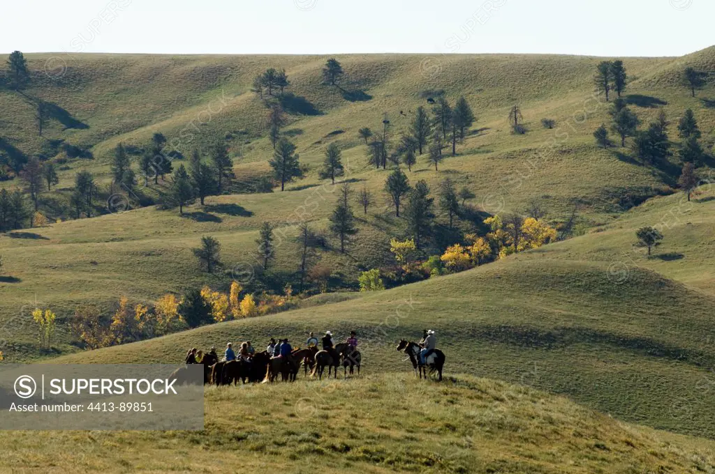 Cowboys at Bison Roundup Custer State Park South Dakota USA