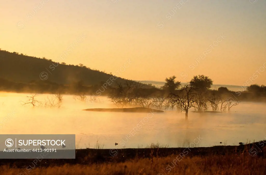 Watering place at dusk Pilanesbergreserve South Africa