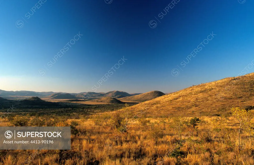 Landscape of Reserve Pilanesberg South Africa