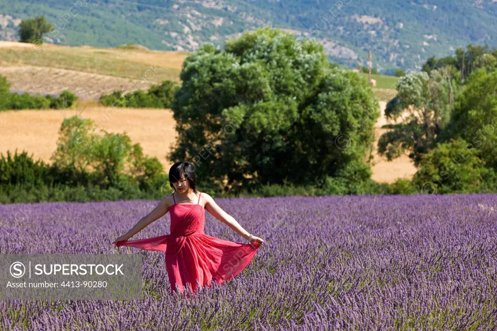 Chinese tourist in a field of Lavender in Provence France