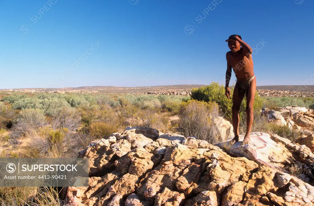Bushman looking the horizon Kgalagadi South Africa