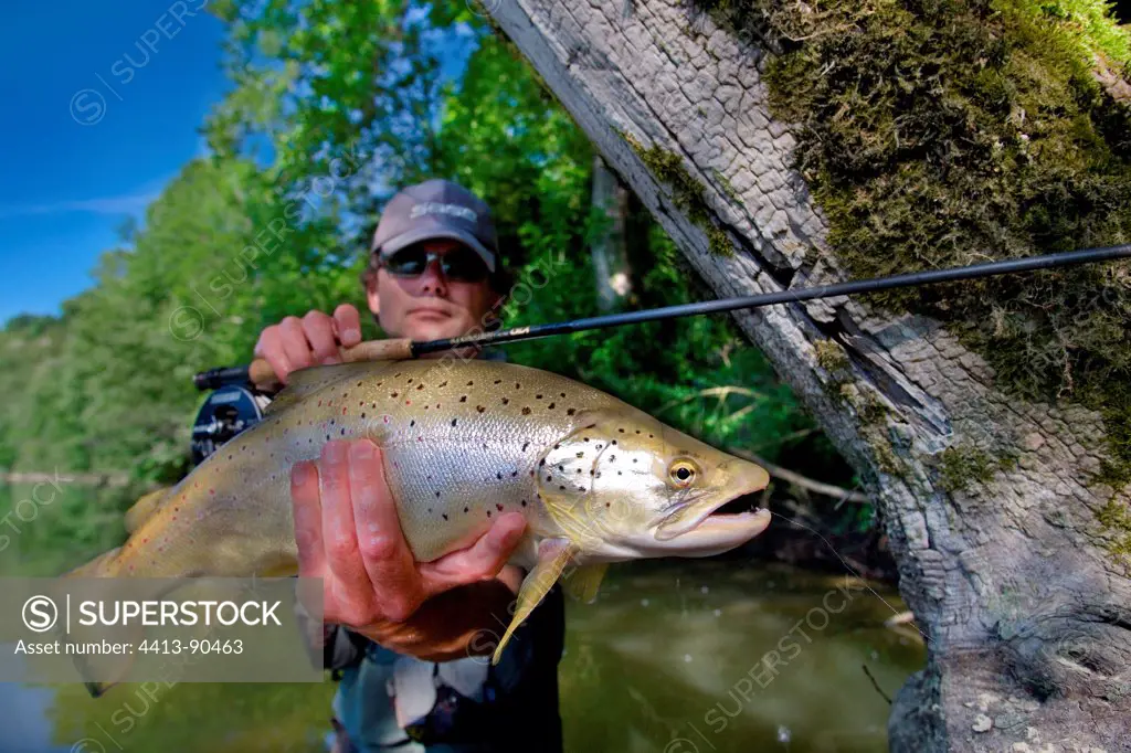 Big Wild Trout Ain taken to fly France