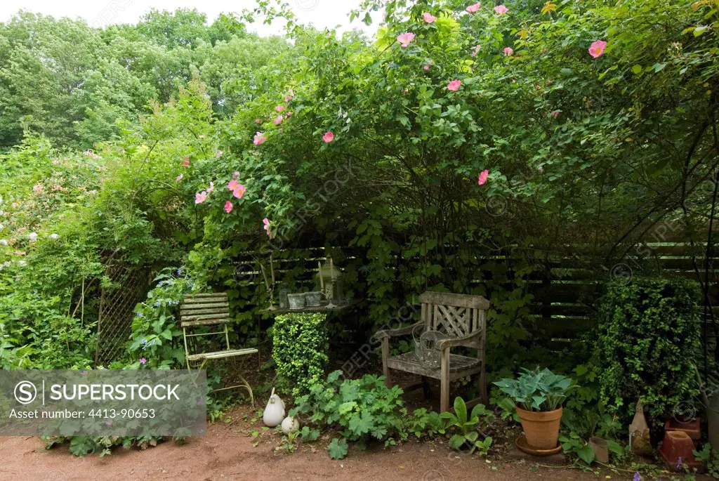 Garden resting place under an arbour