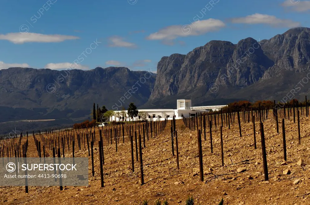 The winery's wine estate Vergelegen South Africa
