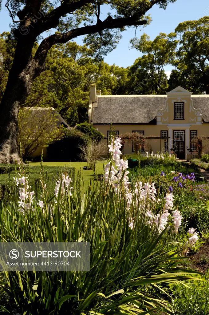 Garden of Vergelegen Wine Estate in South Africa