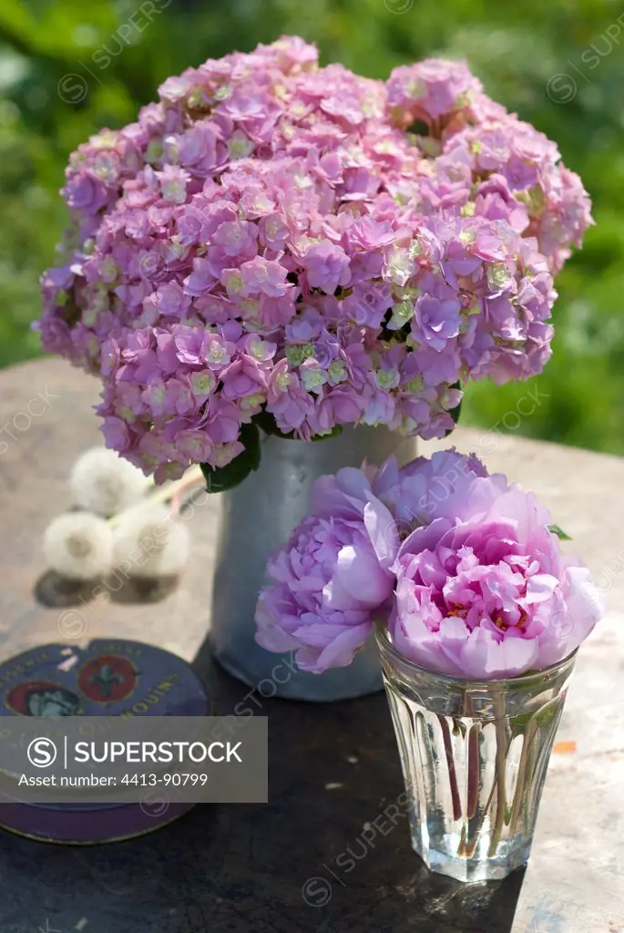 Bouquets of hydrangea and peonies on a garden table