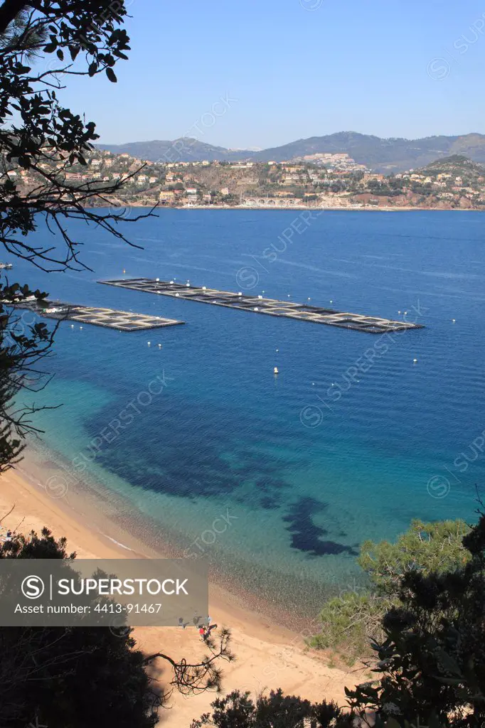 Fish farm in the bay of Cannes Côte d'Azur France
