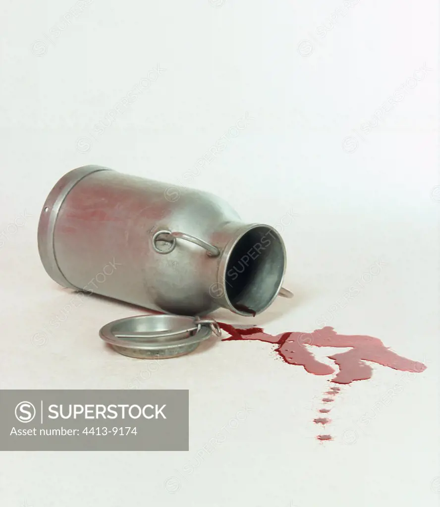 Milk can and blood symbolizing the dairy overproduction