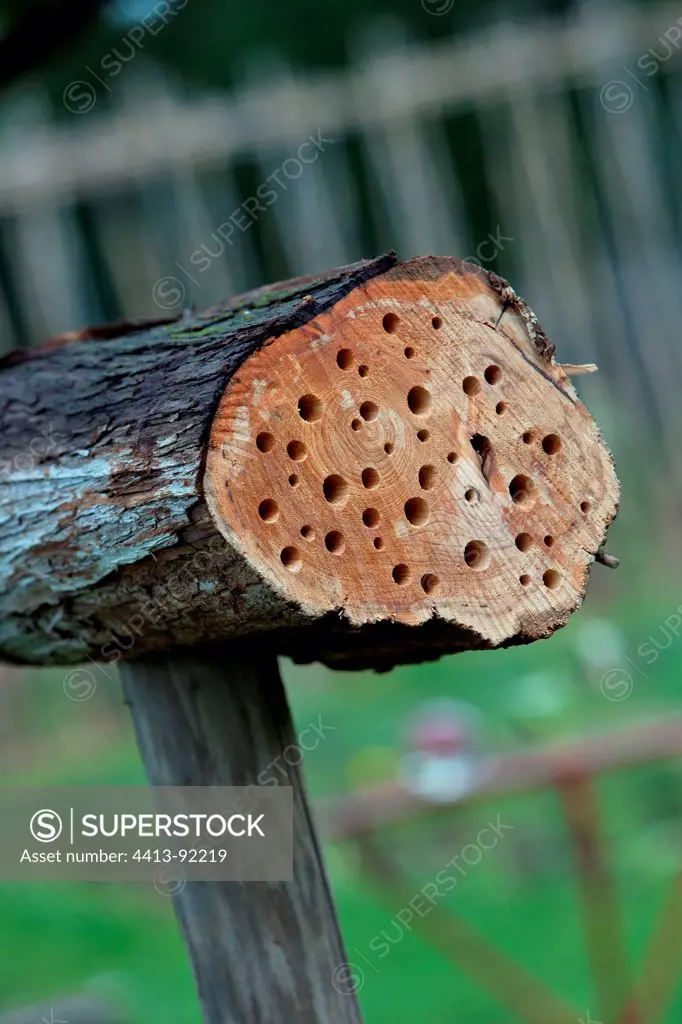 ""Insect's hotel"" in a garden