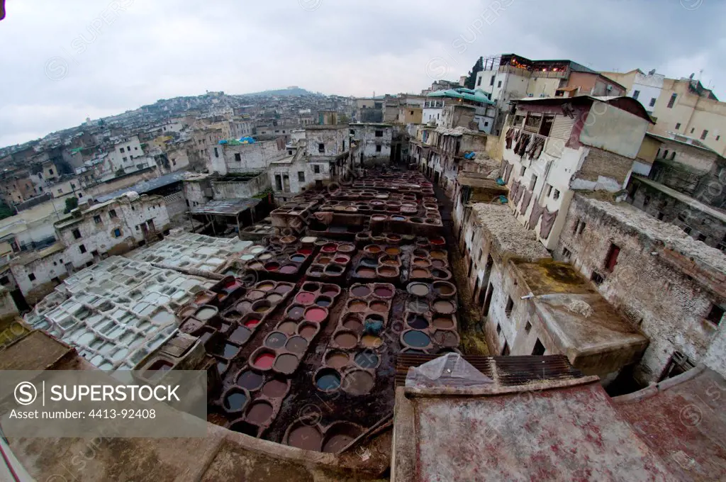 Traditional tannery in the medina of Fez with the tint wells