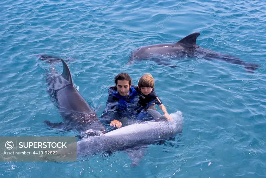 Autistic child receives therapy with Bottlenose Dolphin