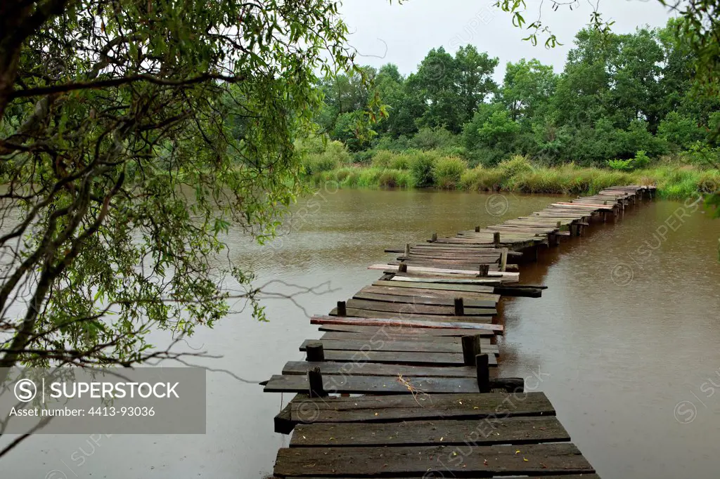 Footbridge on a pond in the Garden of Drulon France