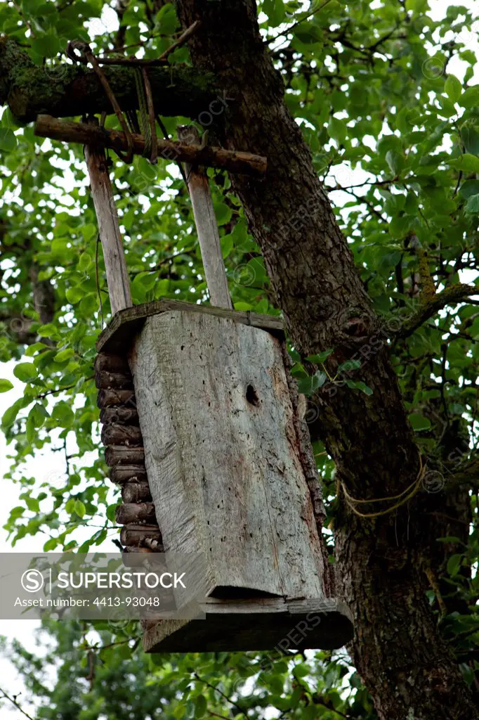 Wooden birdhouse on a tree in the garden of the Priory of Orsan