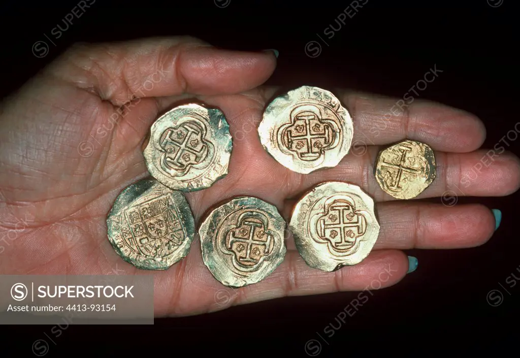 Doubloons recovered from the shipwreck ""Las Maravillas""