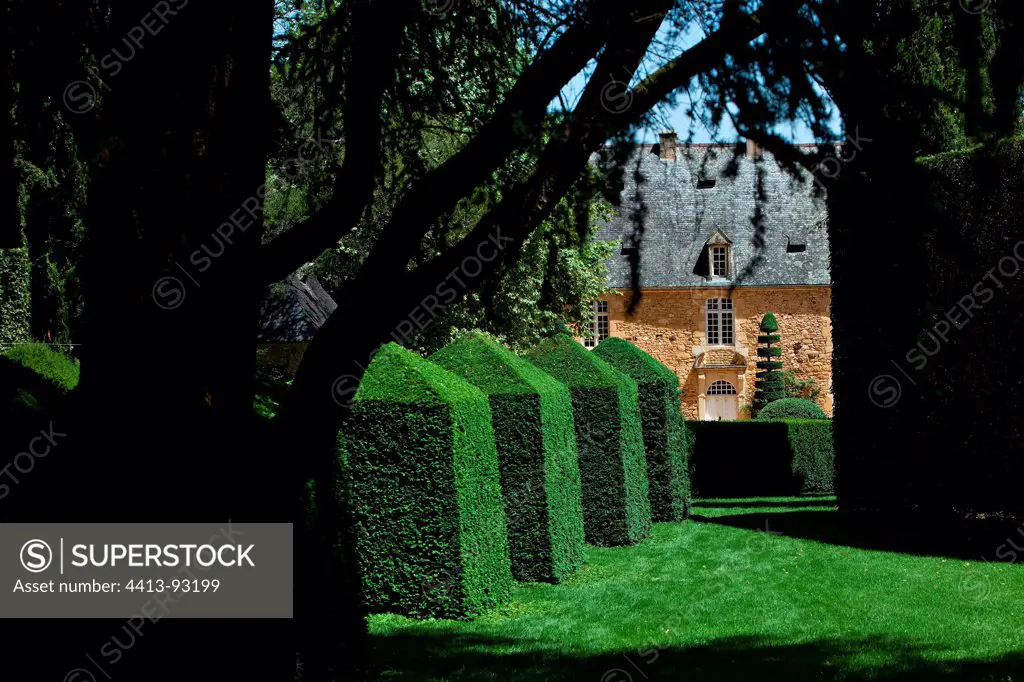 Boxwood pruned at Garden Manor Erygnac Salignac France