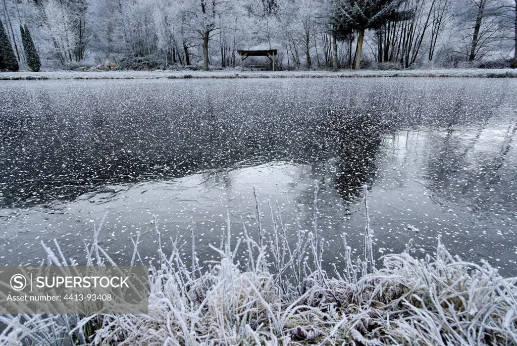 Lake fishing Stosswihr frozen winter in the Upper Rhine