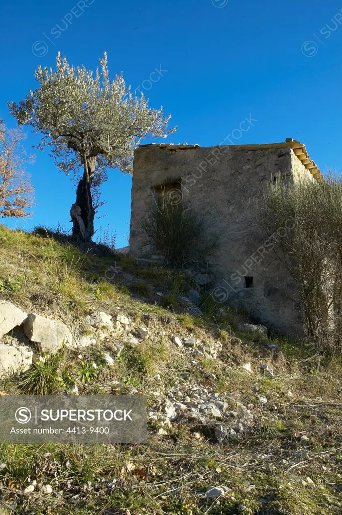 Cottage and restanque in Provence France