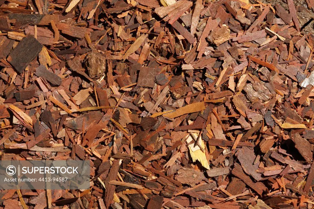 Close up of Lapacho bark used in herbal teh