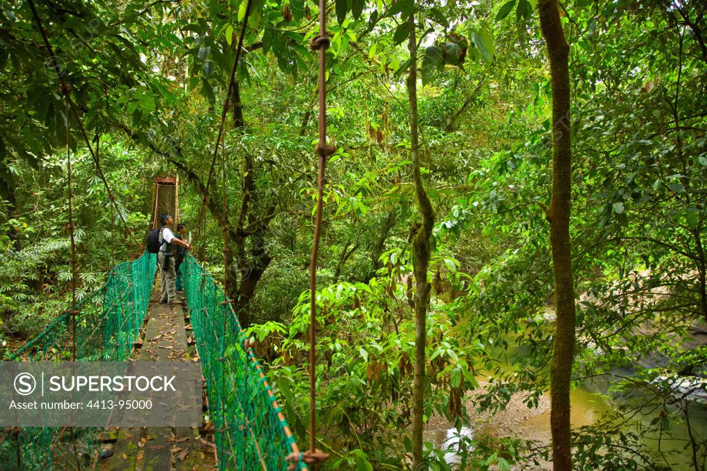 Canopy walkway Danum Valley Borneo Malaysia