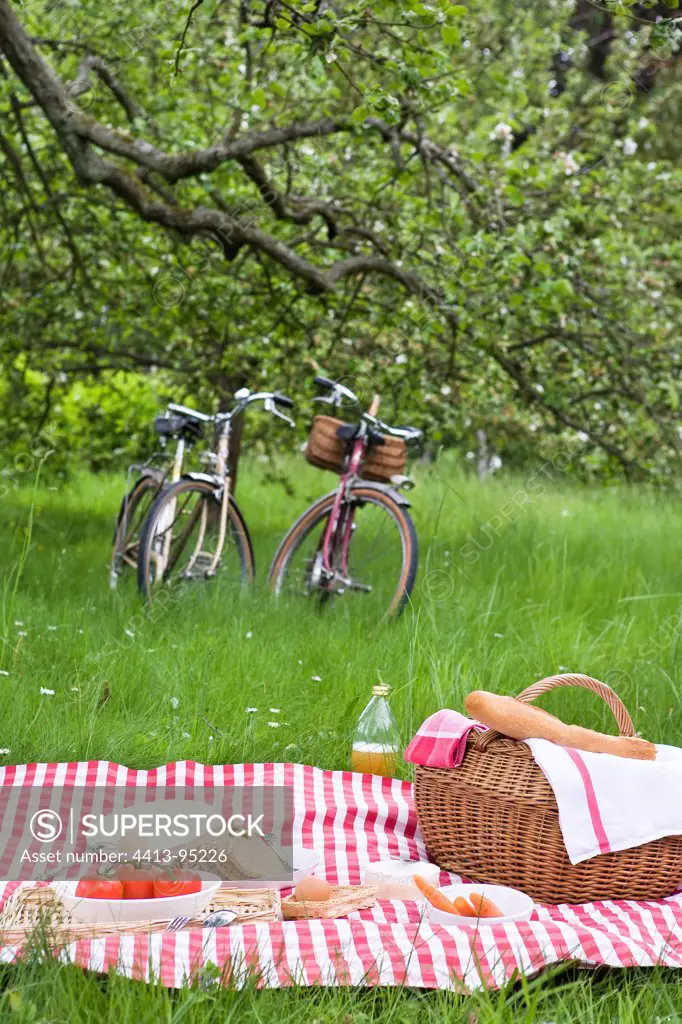 Picnic in the grass on a tablecloth pattern Vichy France